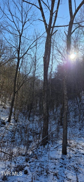 Photo #58: 176 Wade Bulla Road