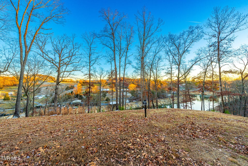 Photo #9: 2294 Turkey Ridge Lane