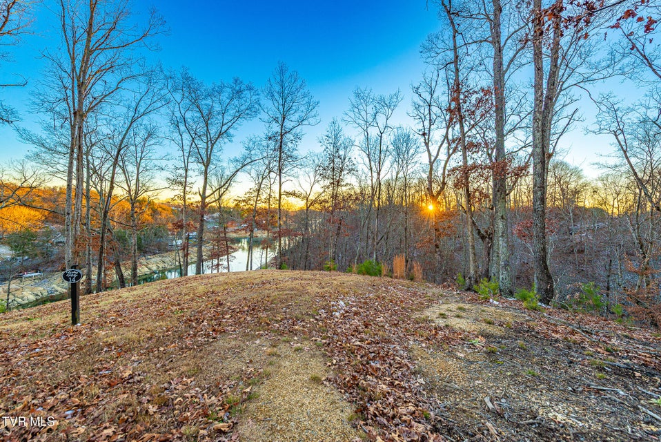 Photo #10: 2294 Turkey Ridge Lane