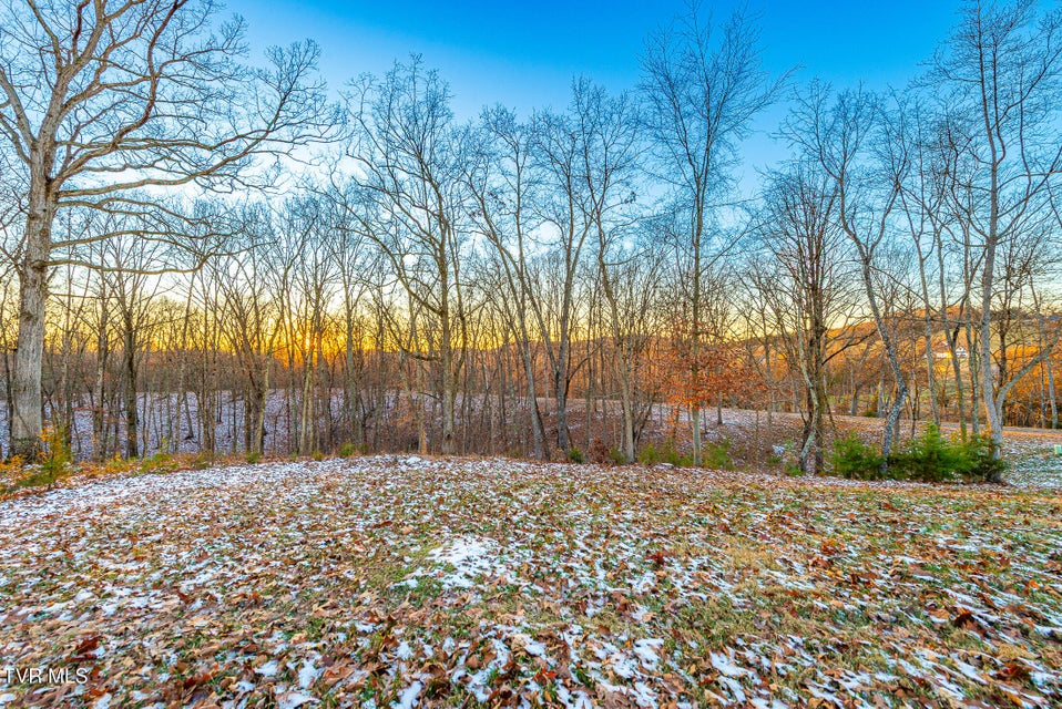 Photo #11: 2294 Turkey Ridge Lane