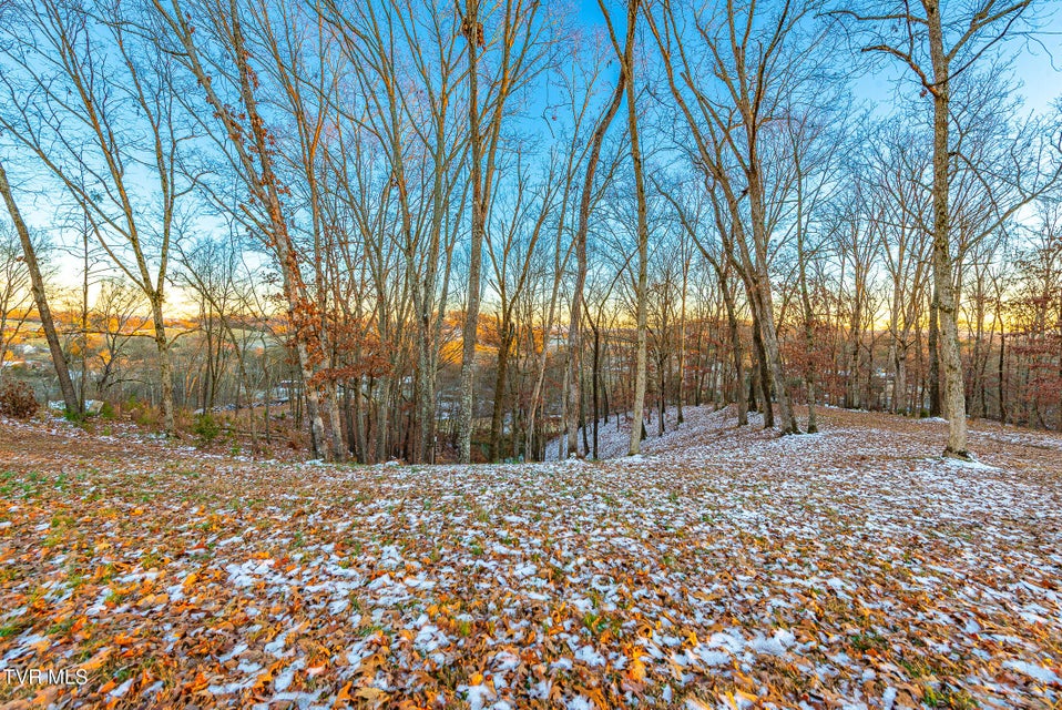 Photo #12: 2294 Turkey Ridge Lane