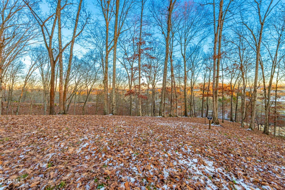 Photo #13: 2294 Turkey Ridge Lane