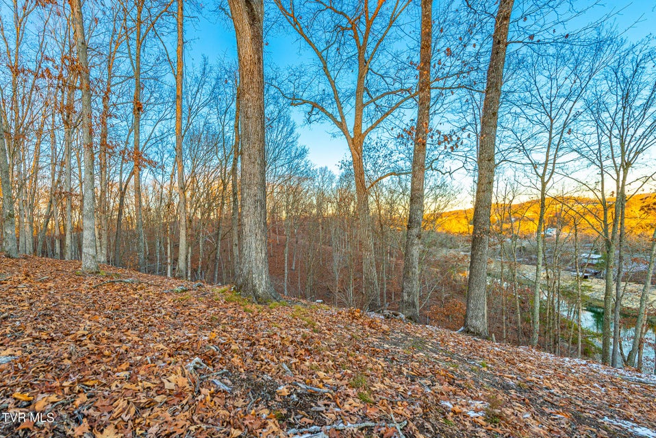 Photo #7: 2297 Turkey Ridge Lane