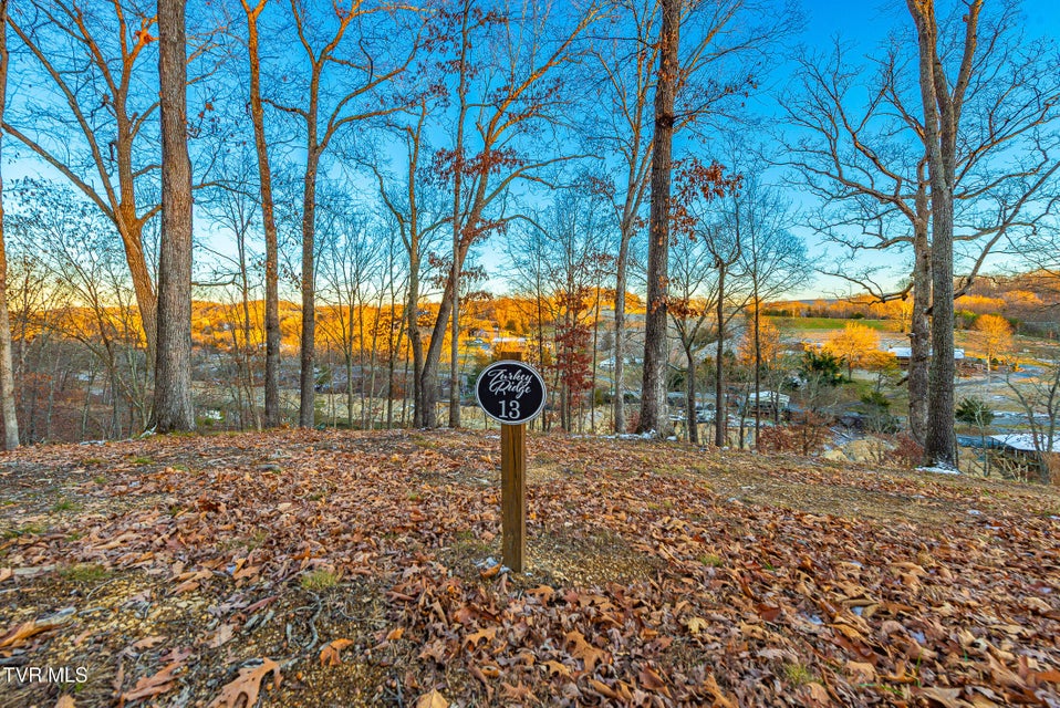 Photo #2: 2318 Turkey Ridge Lane