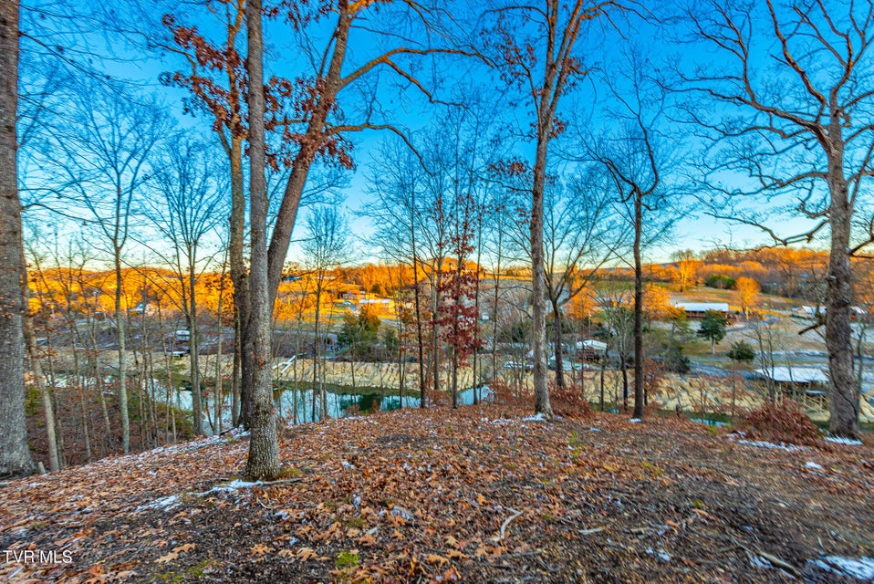 Photo #7: 2318 Turkey Ridge Lane