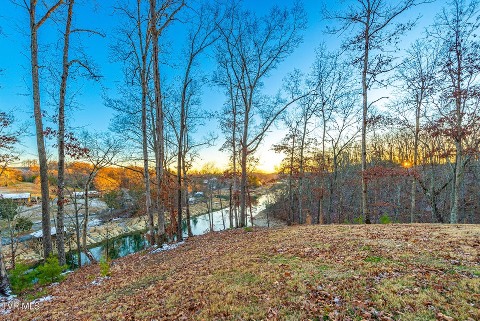 Photo #10: 2318 Turkey Ridge Lane