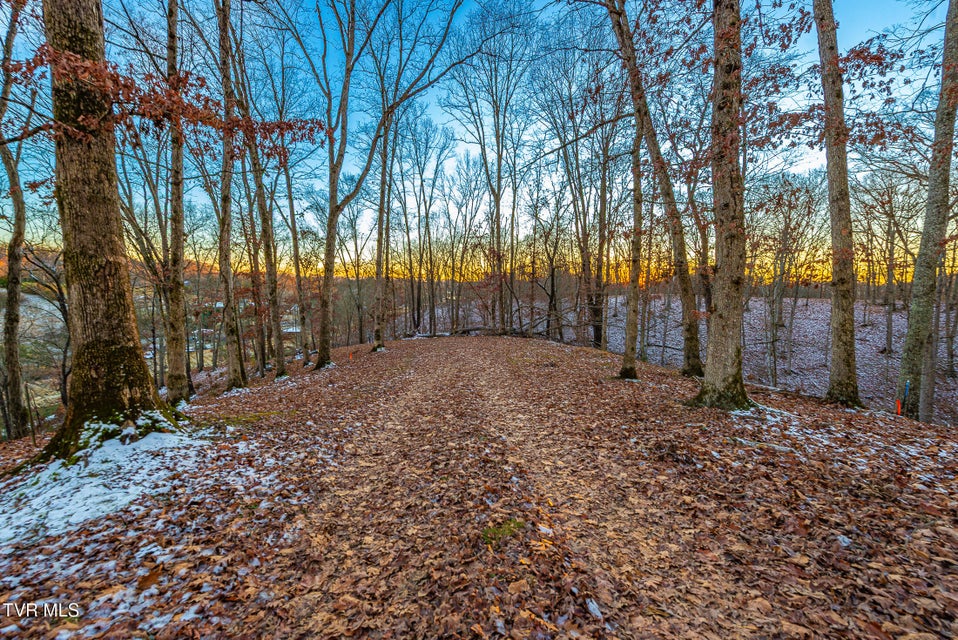 Photo #5: 2318 Turkey Ridge Lane