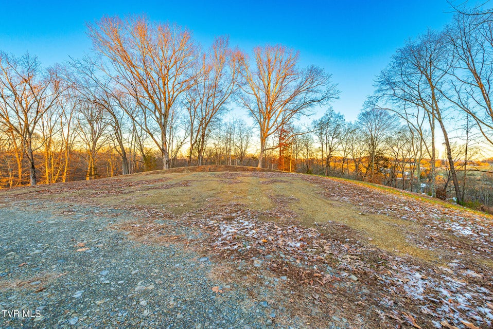 Photo #6: 2321 Turkey Ridge Lane