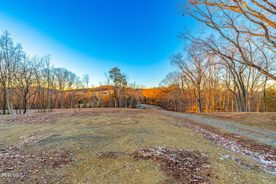 Photo #8: 2321 Turkey Ridge Lane