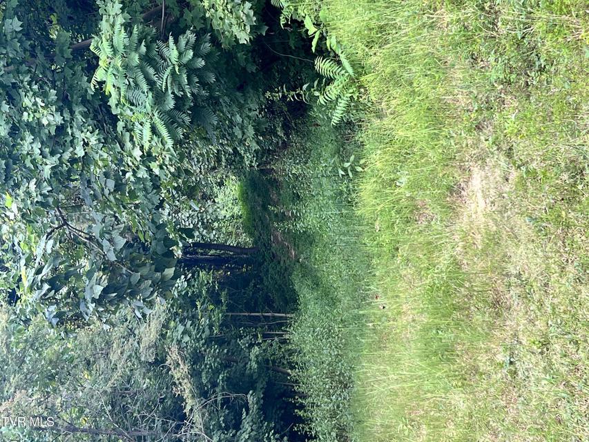 Photo #12: Tbd Tulip Poplar Trail Extension 