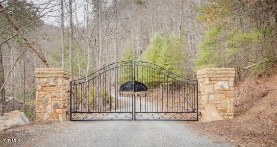 Photo #13: Tbd Tulip Poplar Trail Extension 