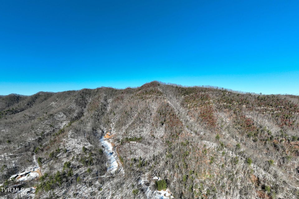 Photo #3: Tbd Kaitlyn Road