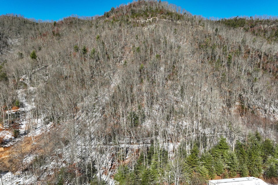 Photo #10: Tbd Kaitlyn Road