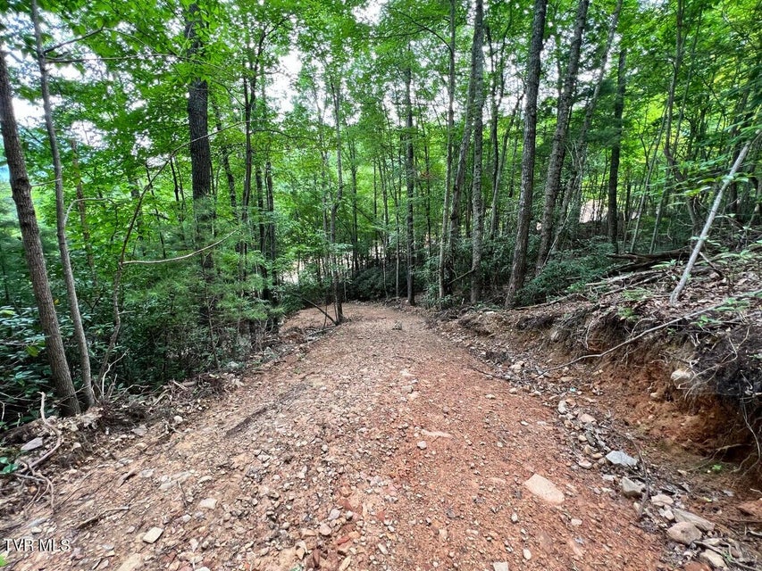 Photo #20: Tbd Kaitlyn Road