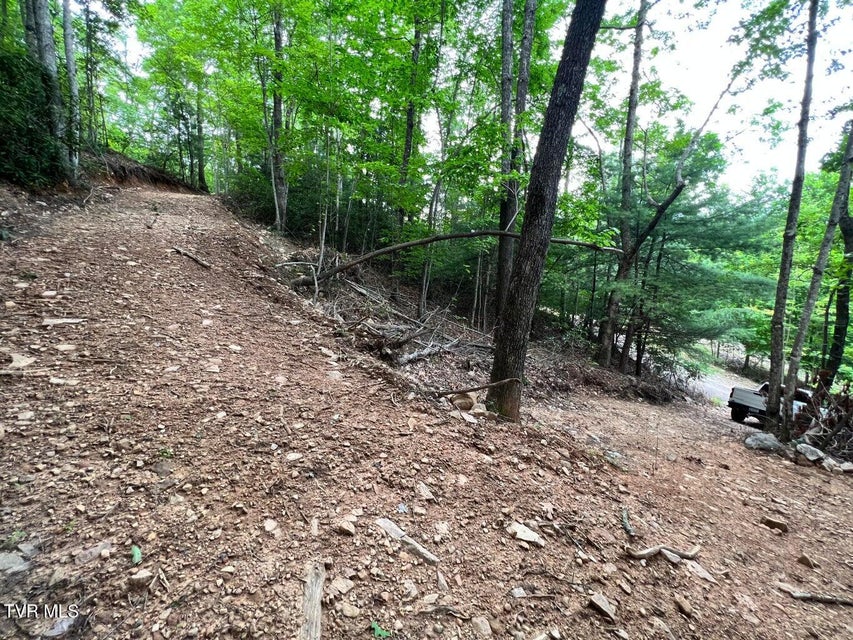 Photo #22: Tbd Kaitlyn Road