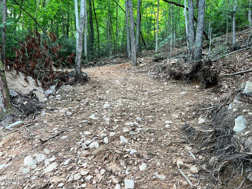 Photo #23: Tbd Kaitlyn Road