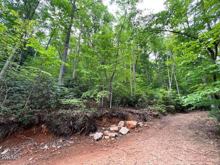 Photo #25: Tbd Kaitlyn Road