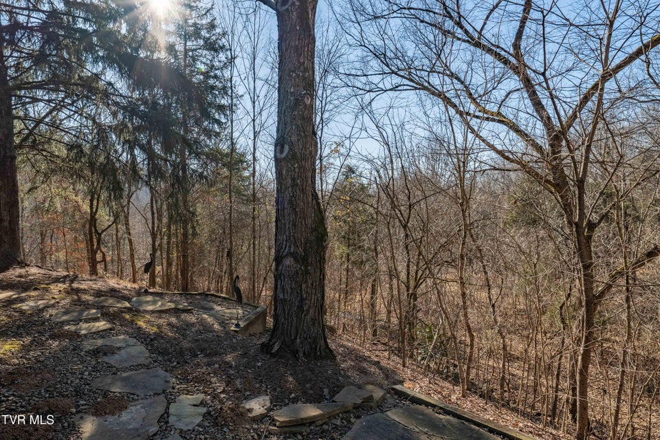 Photo #28: 15 Crown Circle