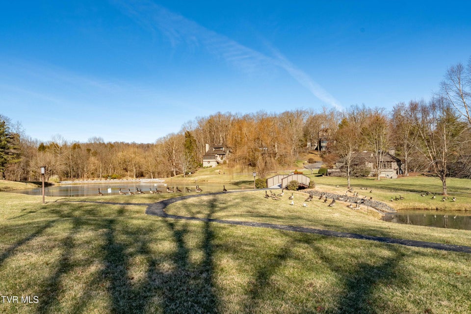 Photo #38: 15 Crown Circle