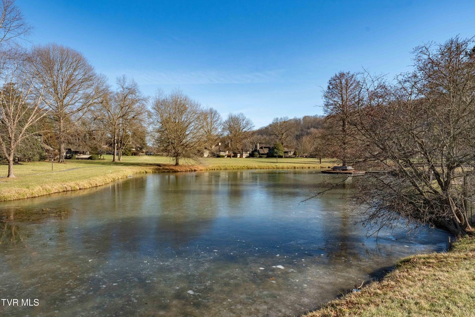 Photo #39: 15 Crown Circle