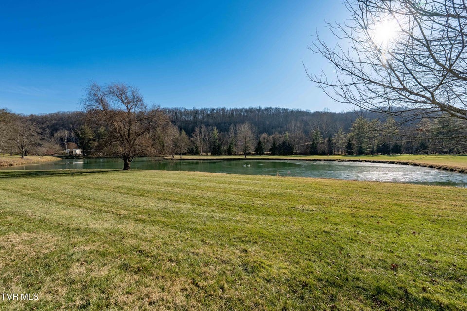 Photo #42: 15 Crown Circle