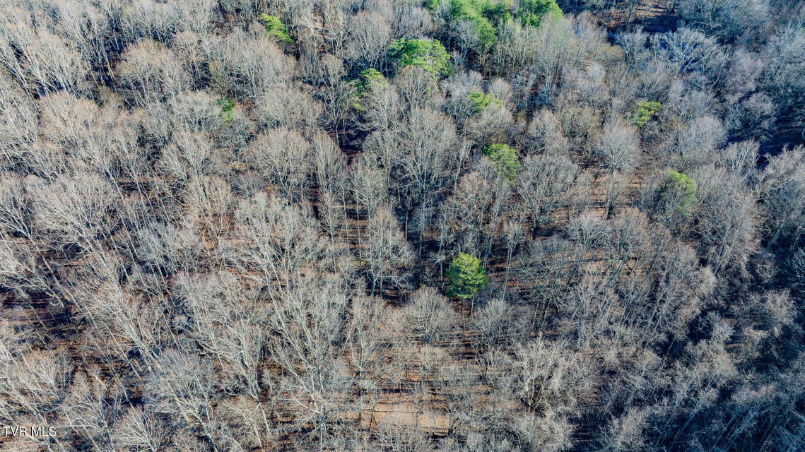 Photo #5: Tbd Roy Phillips Rd 