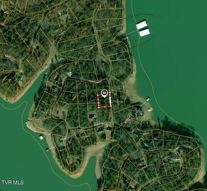 Photo #4: 374 Chelaque Way