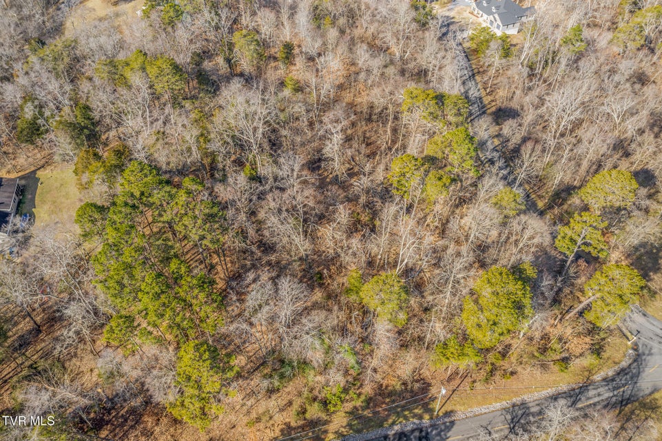 Photo #7: 374 Chelaque Way