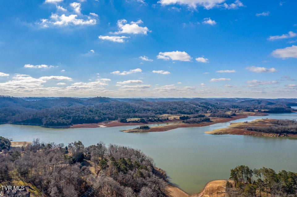 Photo #8: 374 Chelaque Way