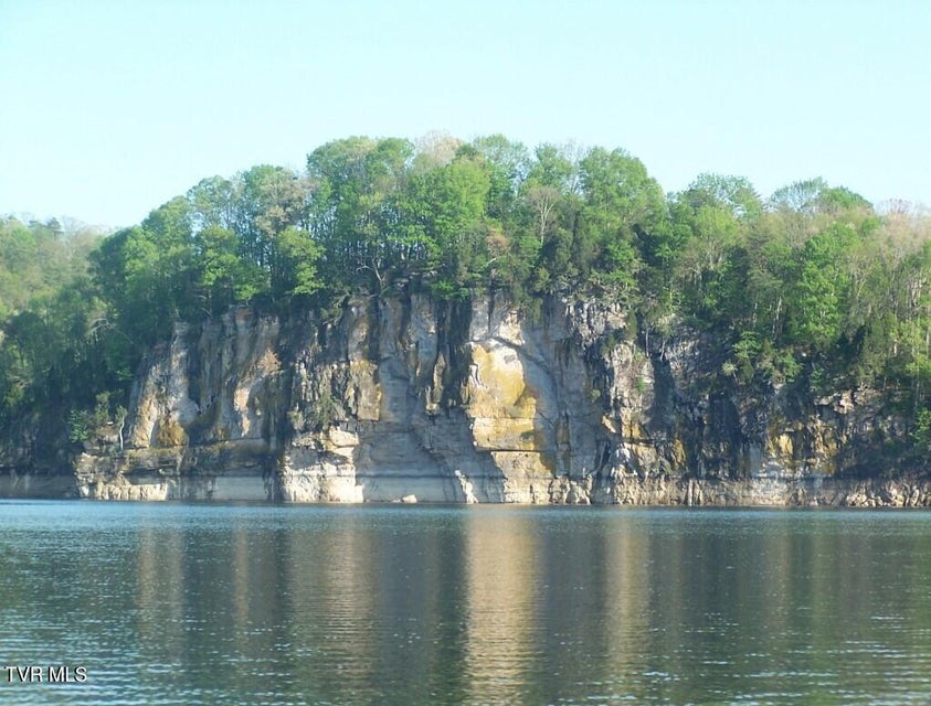 Photo #12: 374 Chelaque Way