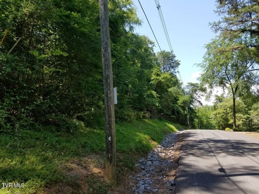 Photo #13: 374 Chelaque Way