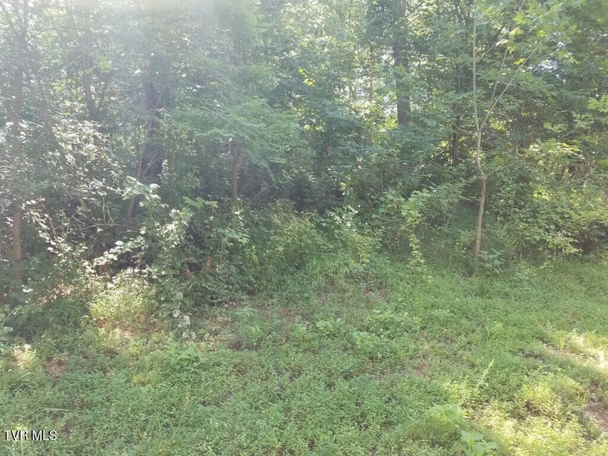 Photo #14: 374 Chelaque Way