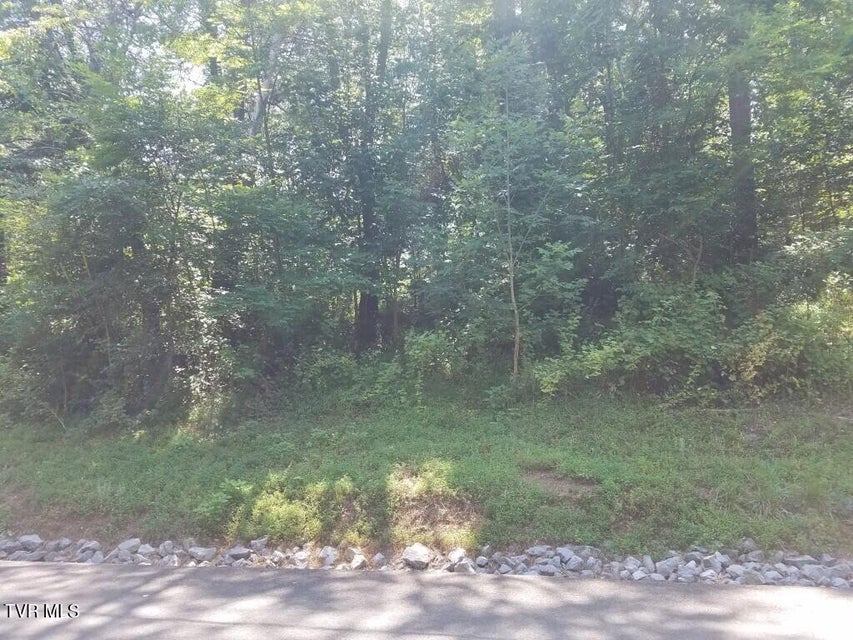 Photo #15: 374 Chelaque Way