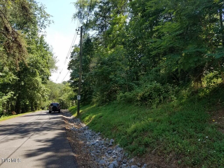 Photo #16: 374 Chelaque Way