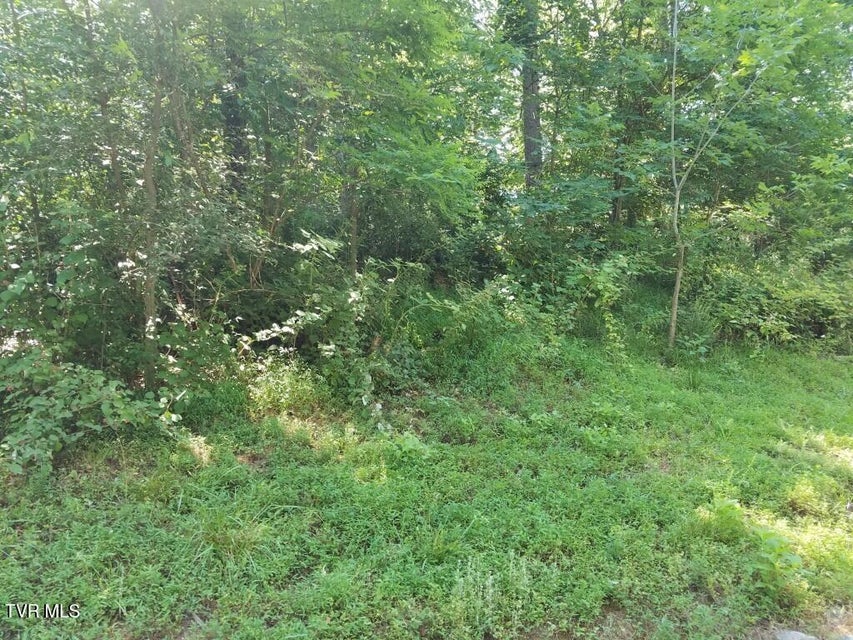 Photo #17: 374 Chelaque Way