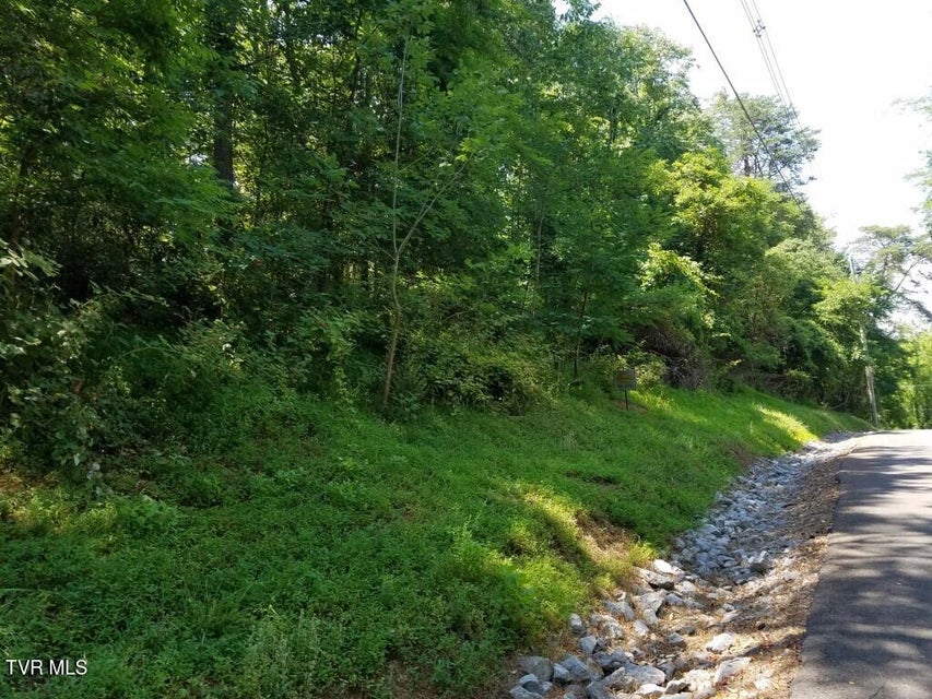 Photo #18: 374 Chelaque Way