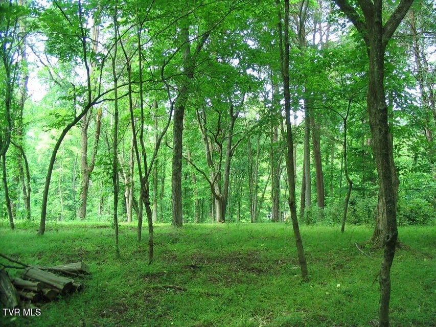 Photo #19: 374 Chelaque Way