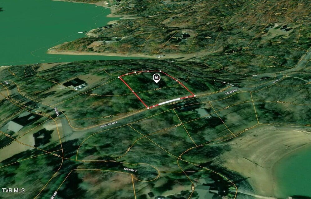 Photo #22: 374 Chelaque Way