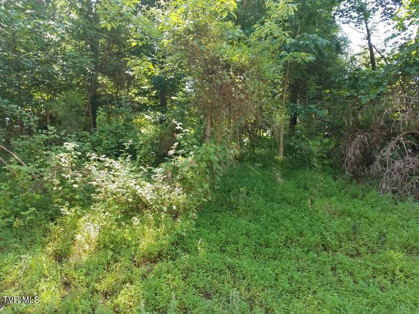 Photo #32: 374 Chelaque Way