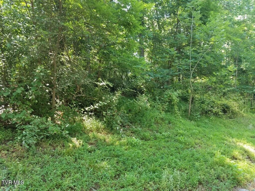 Photo #33: 374 Chelaque Way