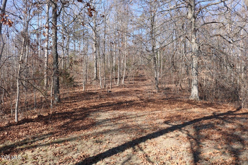 Photo #29: 1800 Main Street