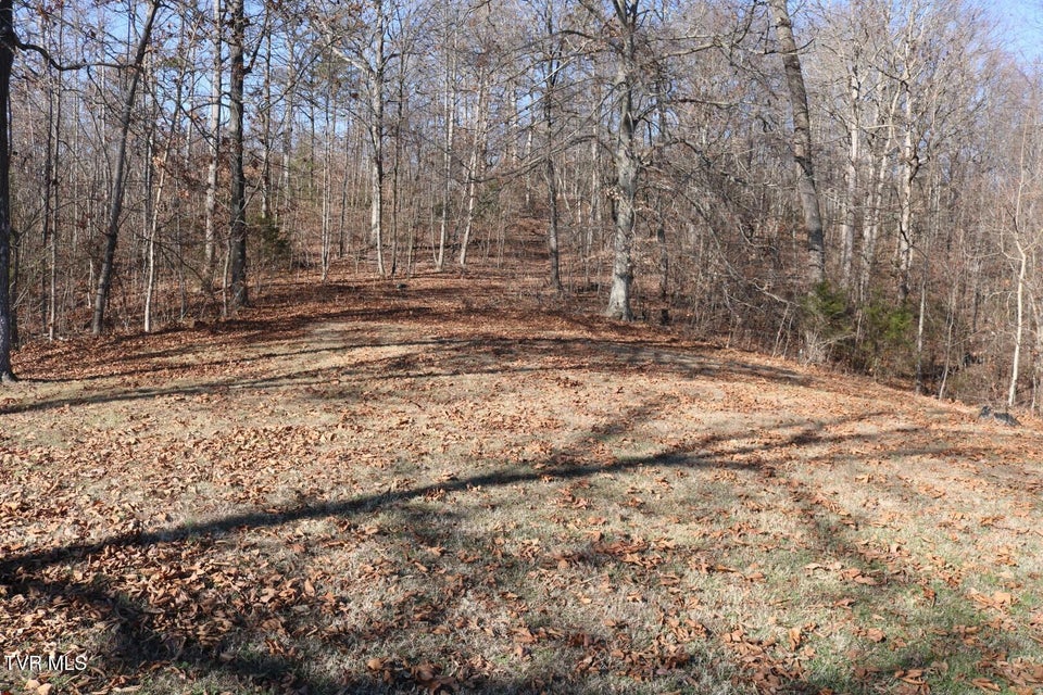 Photo #30: 1800 Main Street