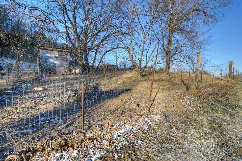 Photo #66: 3822 Highway 81 