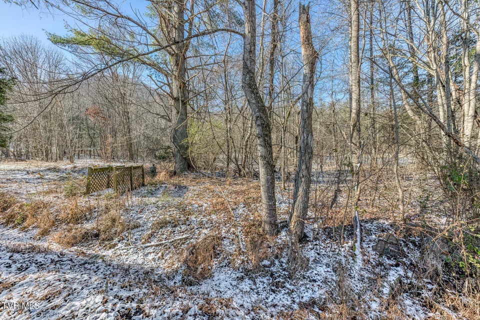 Photo #22: 736 Ryder Church Road