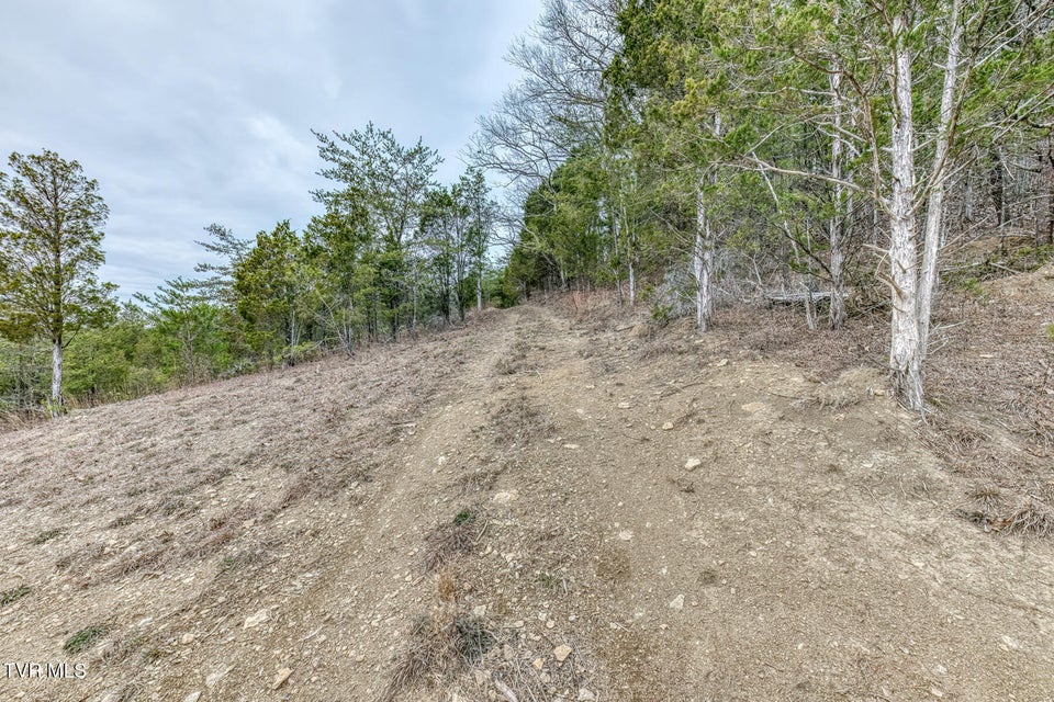 Photo #49: 193 Fork Branch Road