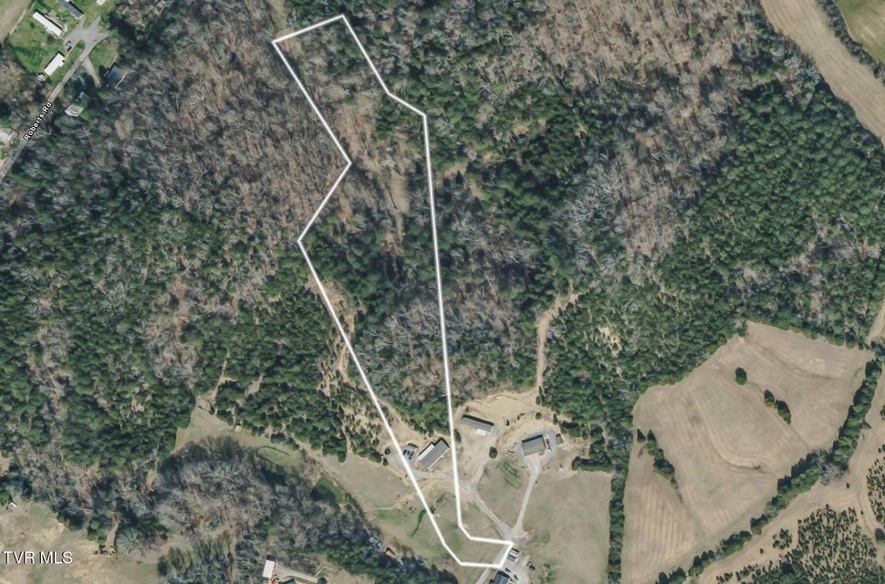 Photo #57: 193 Fork Branch Road