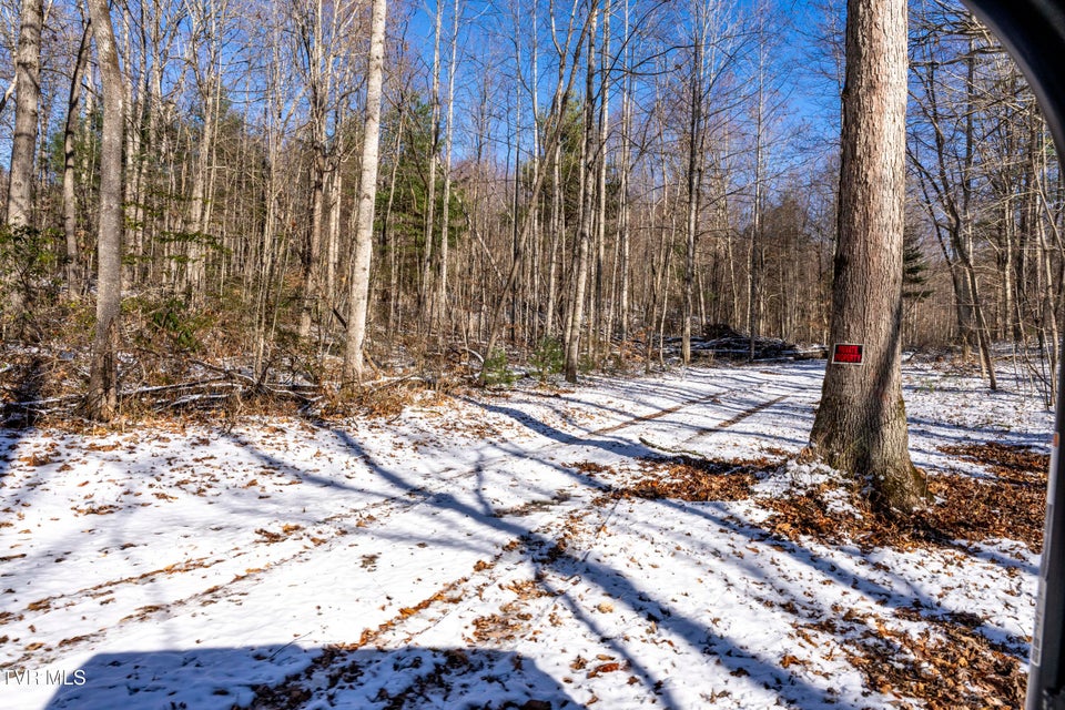 Photo #8: 3039 Hwy 91 