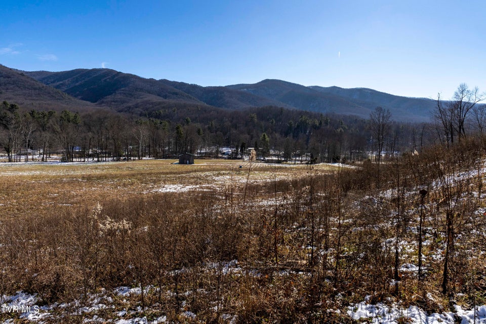 Photo #11: 3039 Hwy 91 