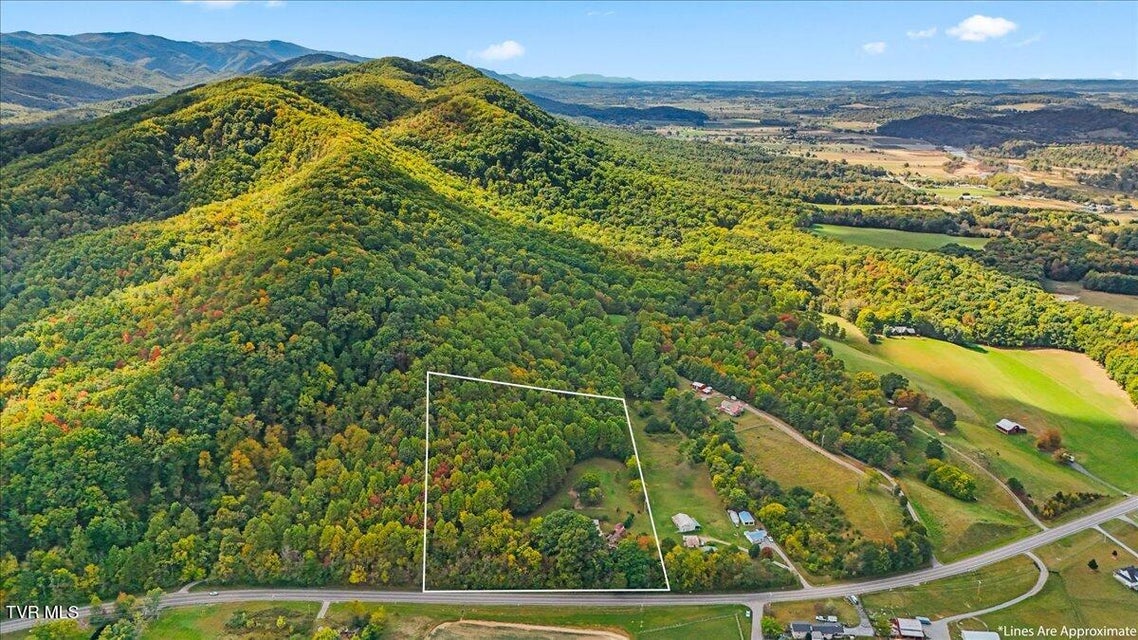 Photo #5: 3822 Highway 81 