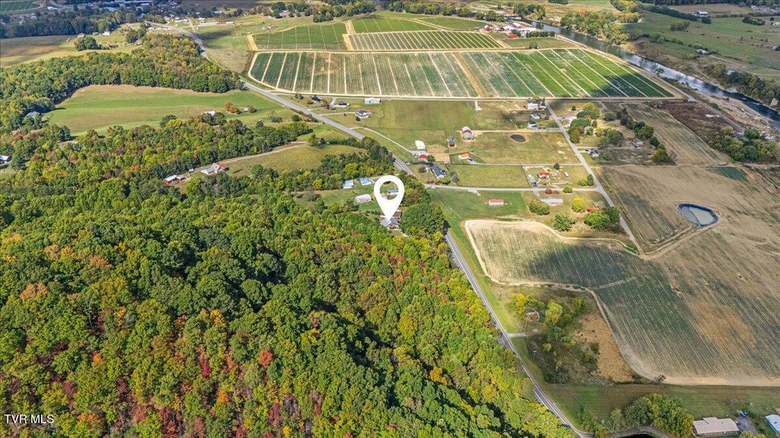 Photo #9: 3822 Highway 81 